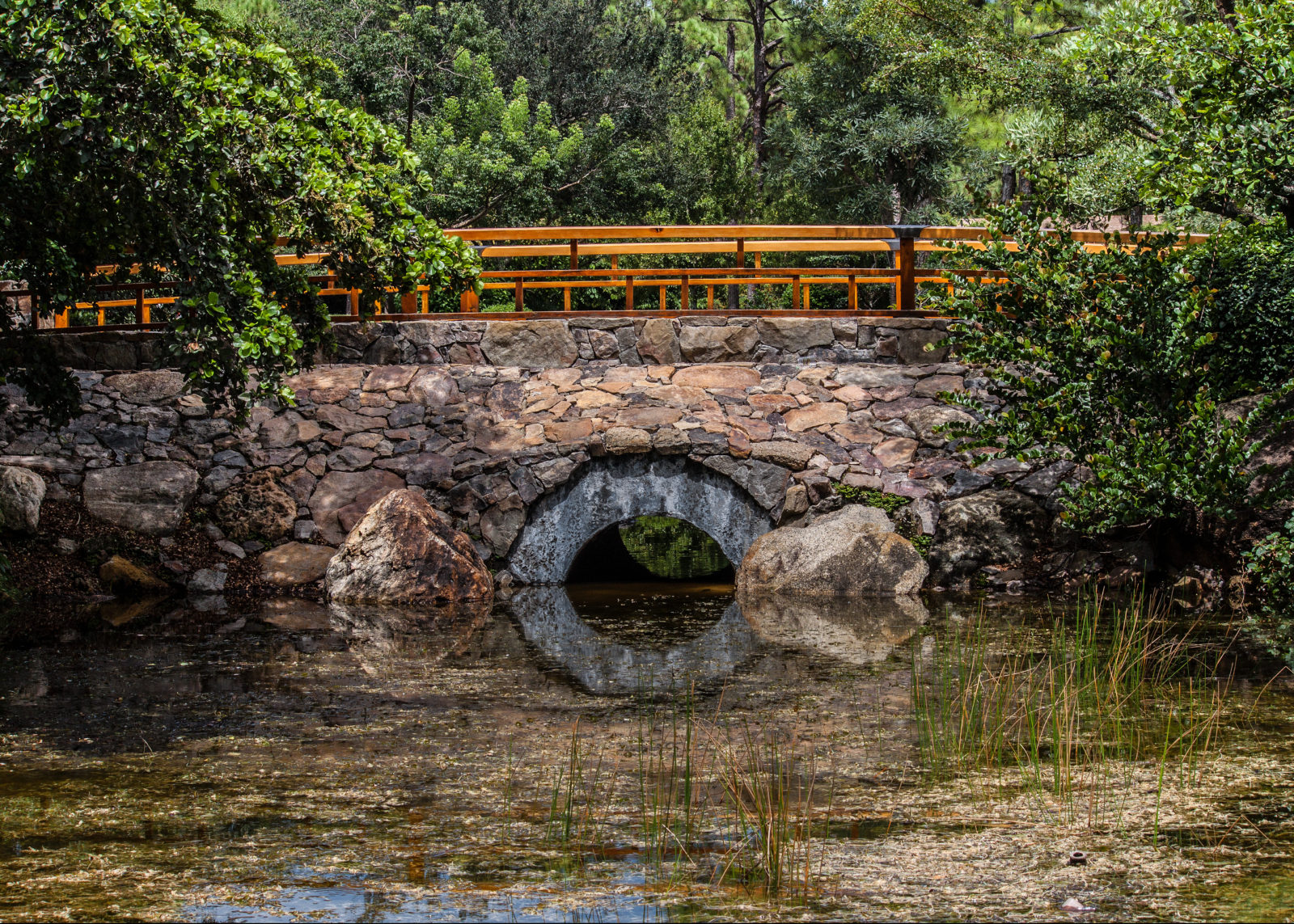 Morikami Japanese Gardens - stone bridge and reflection