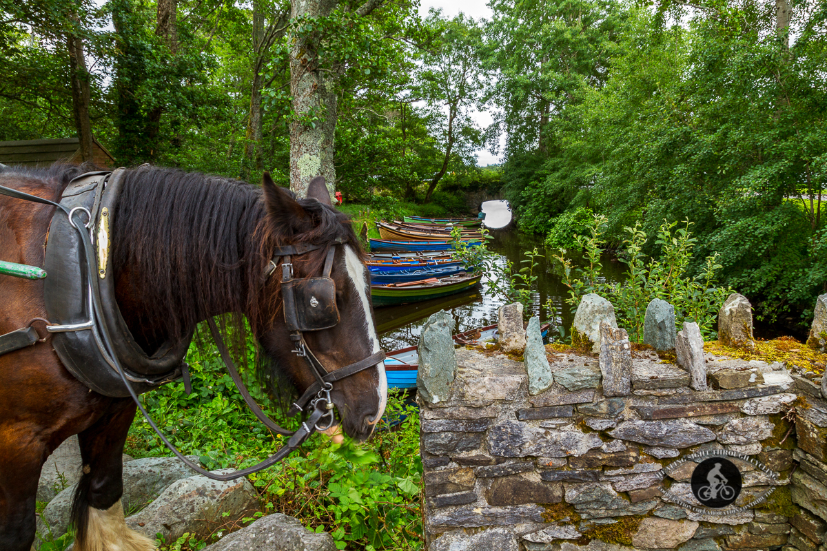 Horse and boats by an arched bridge - Castle Ross Killarney - County Kerry