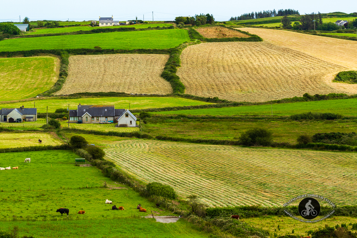 Houses in fields near Drombeg Circle - County Cork