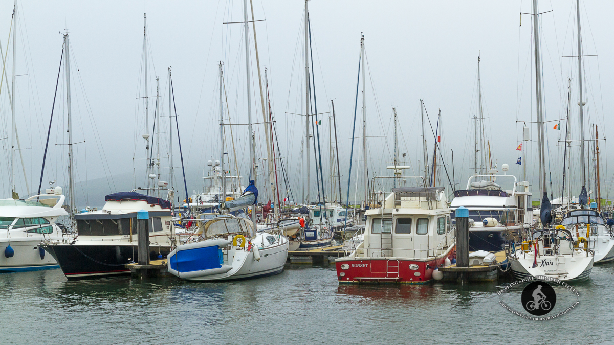 Boats in DIngle Harbour in the fog