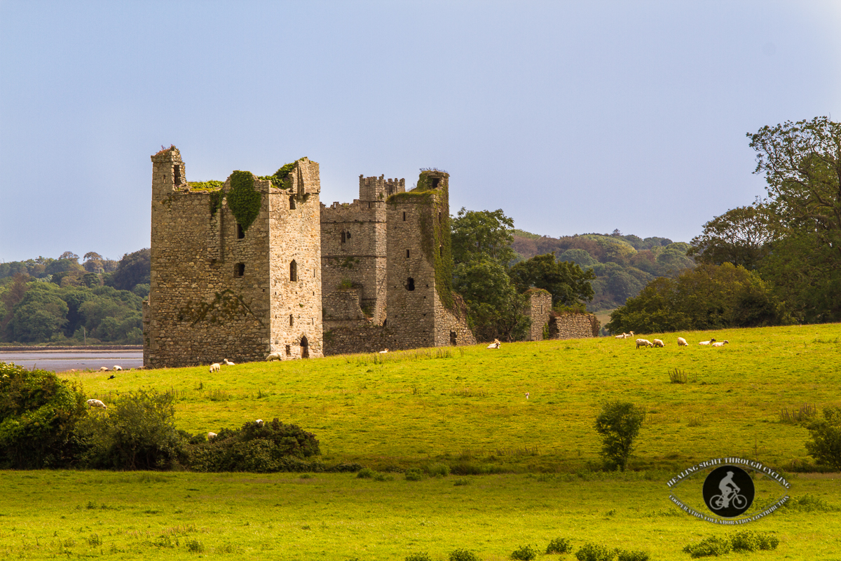 Abbey in Clonmines, Bannow Bay. County Wexford - close