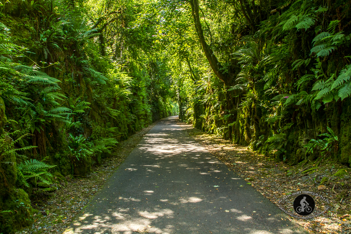 Ballyvoyle pathway - Waterford Greenway