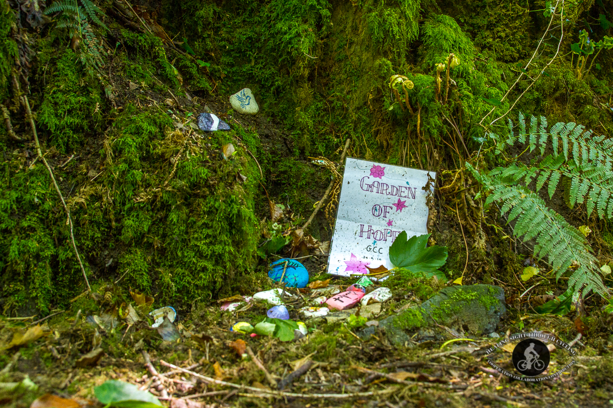 Ballyvoyle pathway - garden of hope - Waterford Greenway