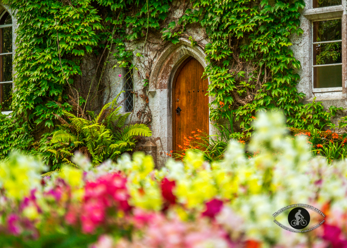 Flowers in front of University College Cork - County Cork