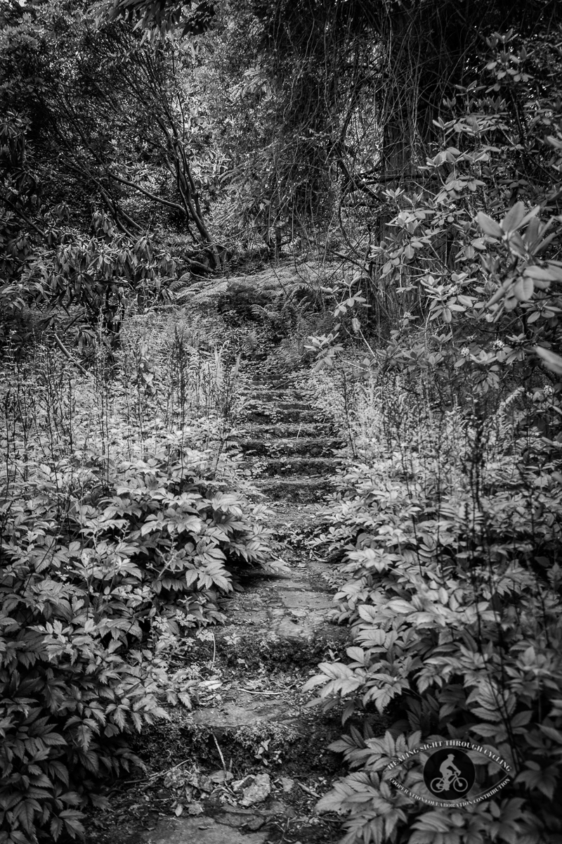 Mount Congreve Gardens - stairs leading up