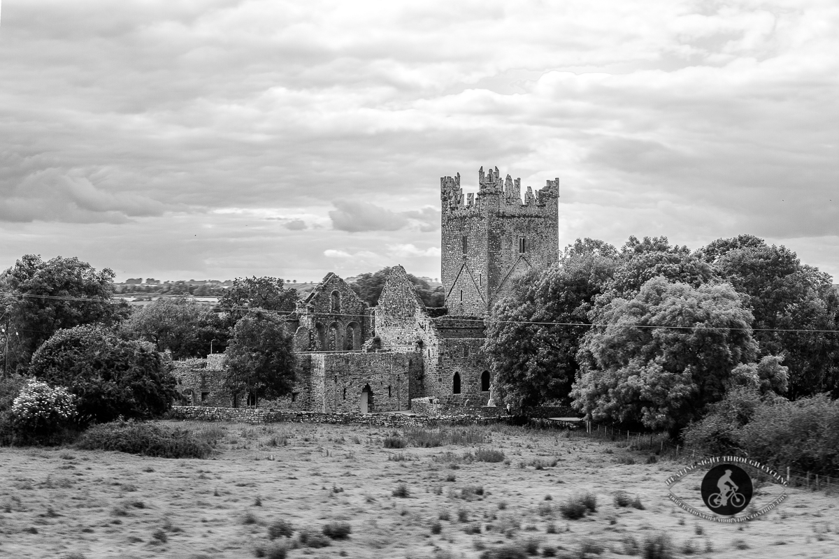 Old ruins on journey from Waterford to Dublin by train - BW