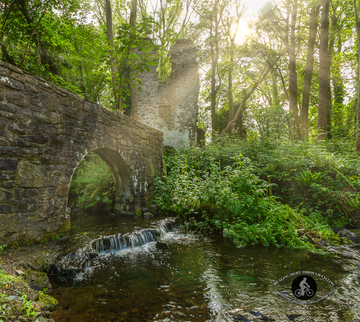 Old ruins under Dunmore Road Bridge - 2 - sunrays