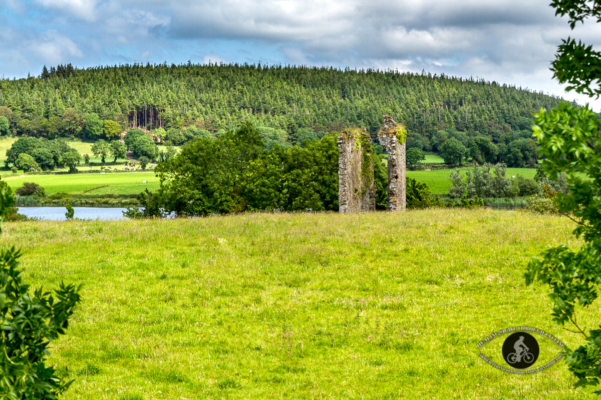 Remains of Kilmeadan Castle - Co Waterford